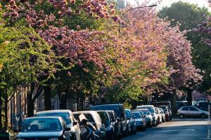 33557610190 51298e19c6 c