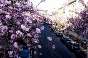 33557613080 723df0572e c