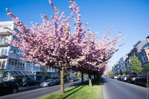 33785326472 dbbccc19b4 c