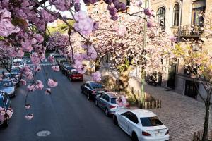 33812705661 dce61977a4 c