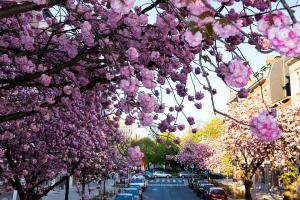 33812706921 796763f4d7 c