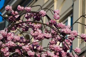 33942836905 c5d9750f0e c