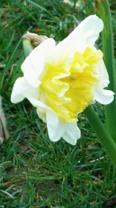 6 2 ErsterMärzenbecher