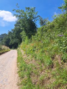 IMG-20260620-WA0019