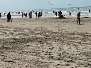 IMG-20260626-WA0013