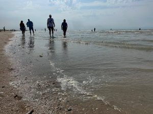 IMG-20260626-WA0015