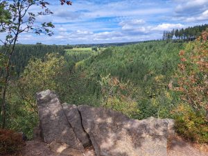 IMG-20260807-WA0009