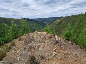 IMG-20260807-WA0011