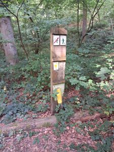 IMG-20260811-WA0002