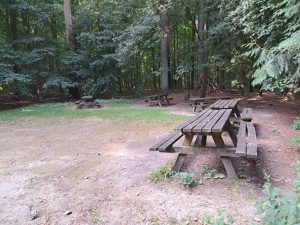 IMG-20260811-WA0006