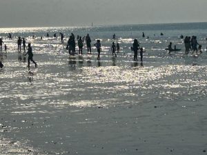 IMG-20260815-WA0017