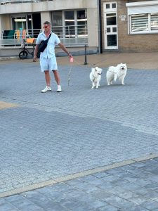 IMG-20260815-WA0020