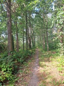IMG-20260913-WA0009