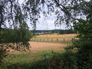 IMG-20261030-WA0001