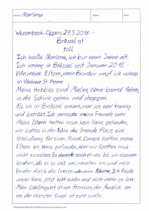 Schülertexte 17-01